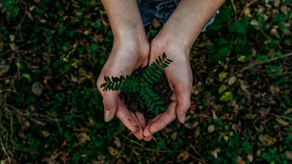Quy định Bảo Hành EU Và Cấm Quảng Cáo Xanh Greenwashing Từ Tháng 9 2026 | Hội Nhập Đức